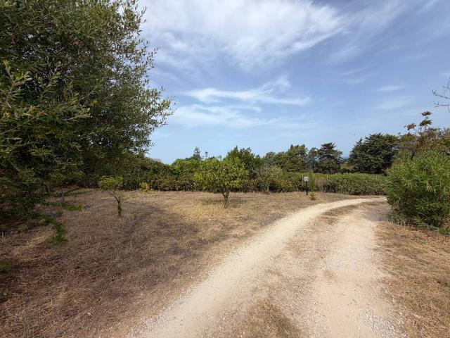 Villa Indipendente in vendita a Sant'Andrea, Valderice