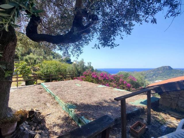 Villa Indipendente in vendita a Vallebona, Liguria