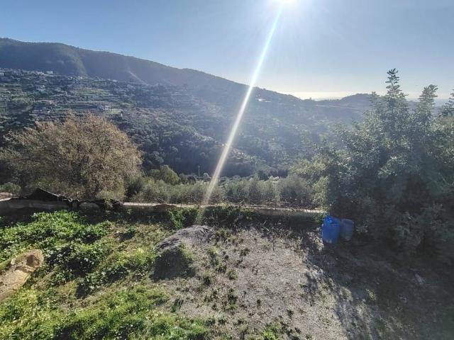 Villa Indipendente in vendita a Vallebona, Liguria