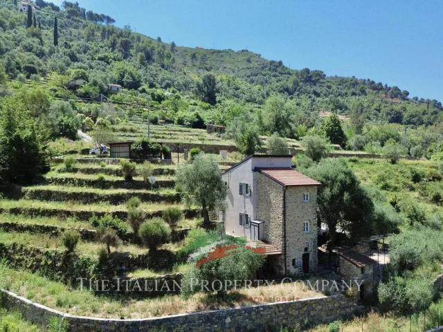 Villa Indipendente in vendita a Madonna della Neve, Vallebona