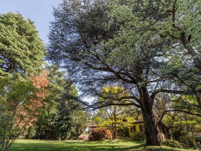 Villa Indipendente in vendita a Biumo Superiore, Varese
