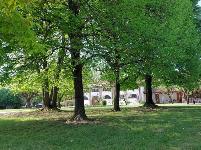 Villa Indipendente in vendita a Varmo, Friuli-Venezia Giulia