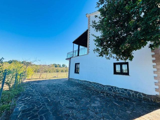 Villa Indipendente in vendita a Vasanello, Viterbo