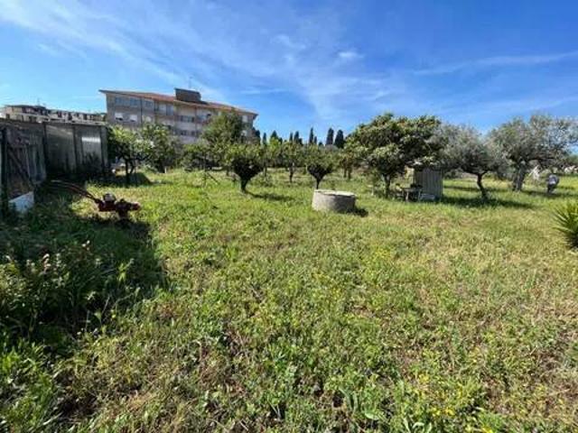 Villa Indipendente in vendita a Vasto, Abruzzo
