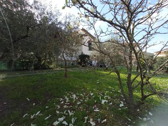 Villa Indipendente in vendita a Avane, Vecchiano