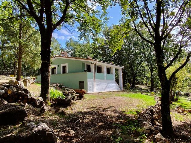 Villa Indipendente in vendita a Vejano, Viterbo