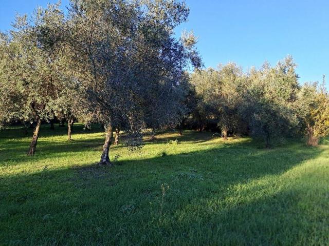 Villa Indipendente in vendita a Roma Capitale, Lazio