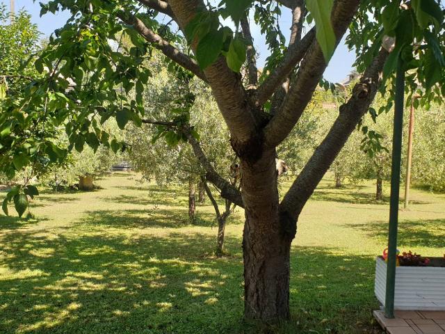 Villa Indipendente in vendita a Marche, Ascoli Piceno