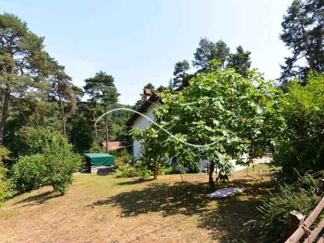 Villa Indipendente in vendita a Venegono Inferiore, Lombardia