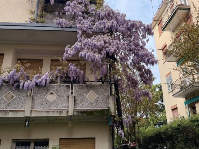 Villa Indipendente in vendita a Santa Barbara, Venezia