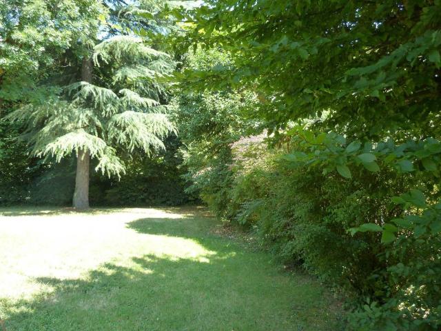 Villa Indipendente in vendita a Carpenedo, Venezia