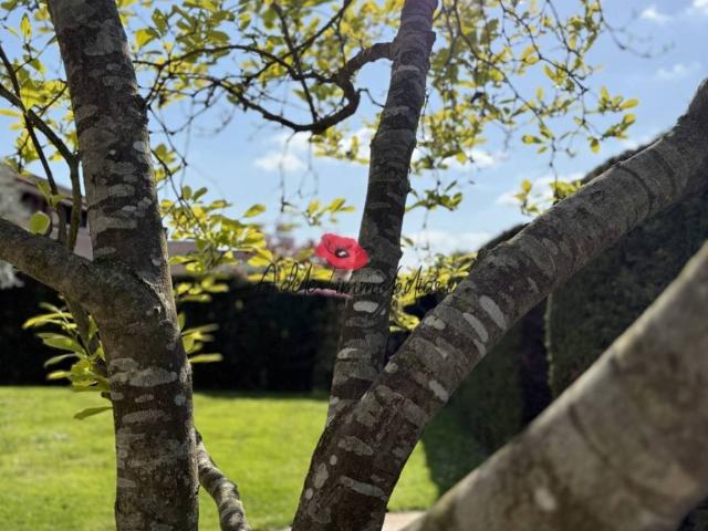 Villa Indipendente in vendita a Trivignano, Venezia