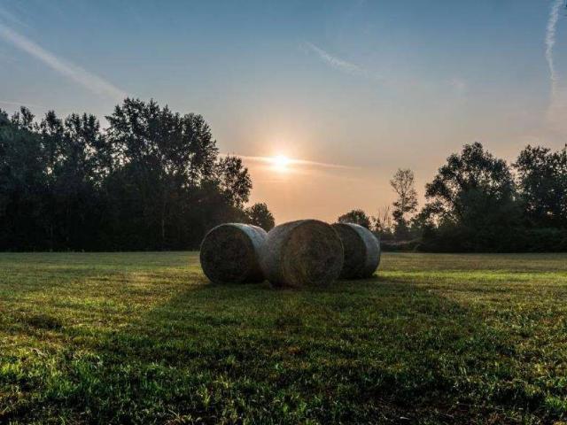 Villa Indipendente in vendita a Trivignano, Venezia