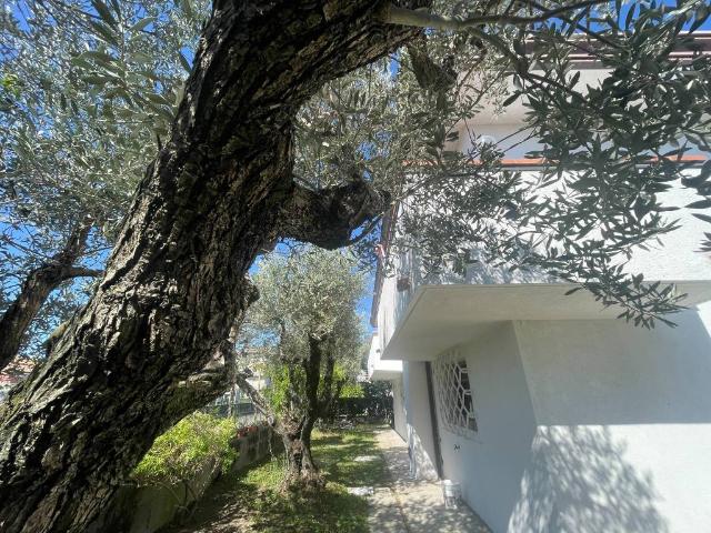 Villa Indipendente in vendita a Favaro Veneto, Venezia