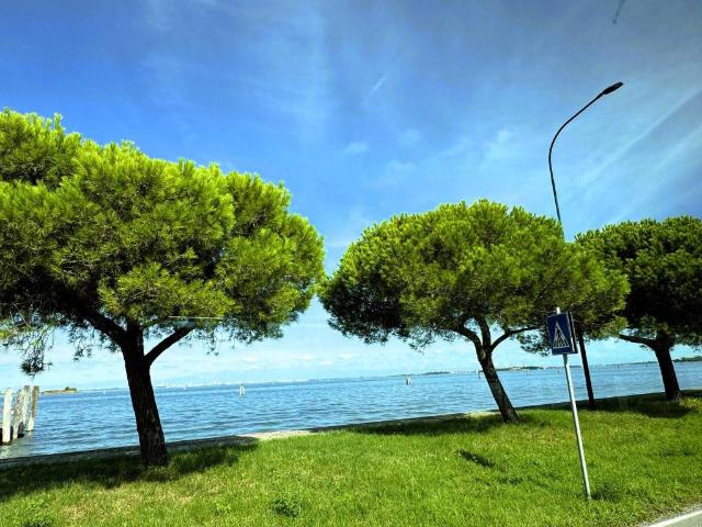 Villa Indipendente in vendita a Alberoni, Venezia