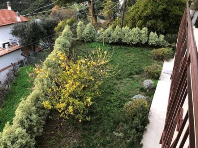 Villa Indipendente in vendita a Bevera, Ventimiglia