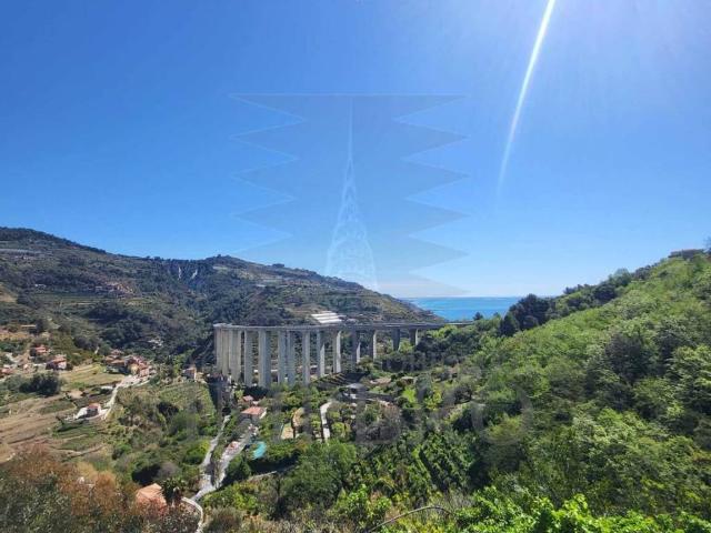 Villa Indipendente in vendita a Zanin, Ventimiglia