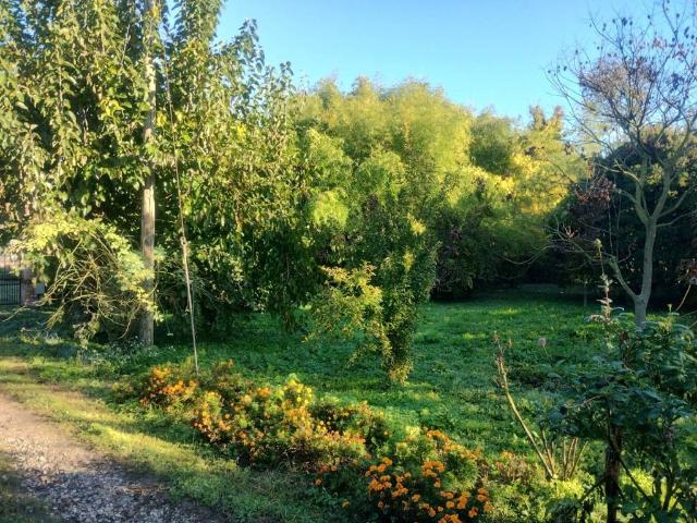 Villa Indipendente in vendita a Sud, Brenzone
