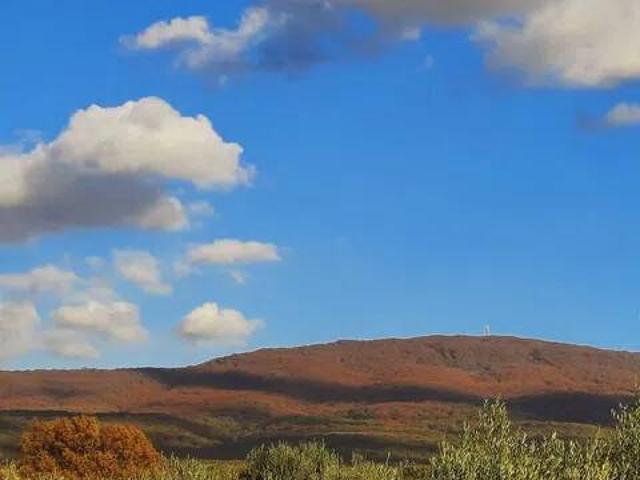 Villa Indipendente in vendita a Vetralla, Lazio