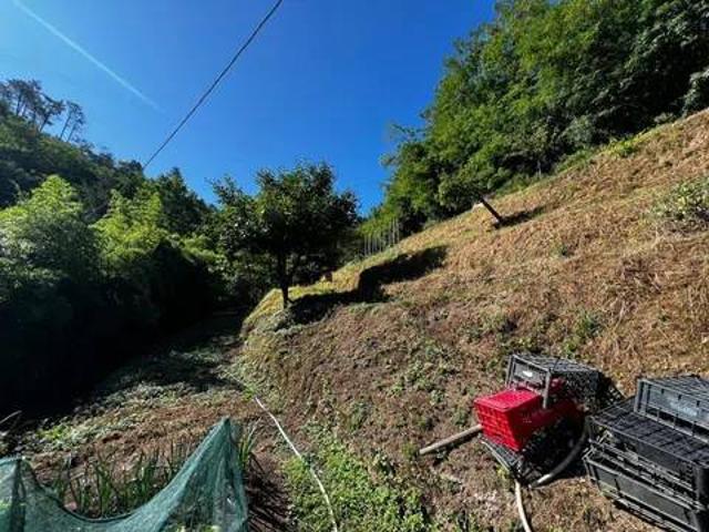 Villa Indipendente in vendita a Vezzano Ligure, Liguria