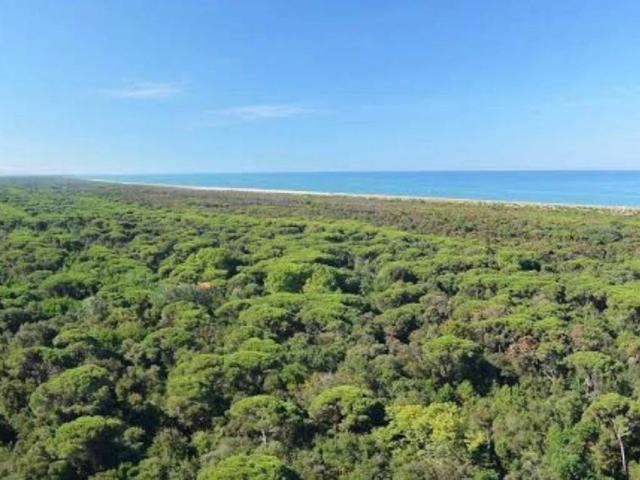 Villa Indipendente in vendita a Viareggio, Toscana