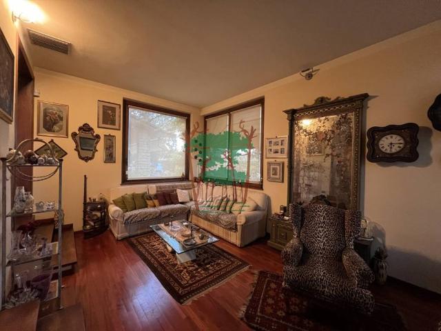 Villa Indipendente in vendita a Bicchio, Viareggio