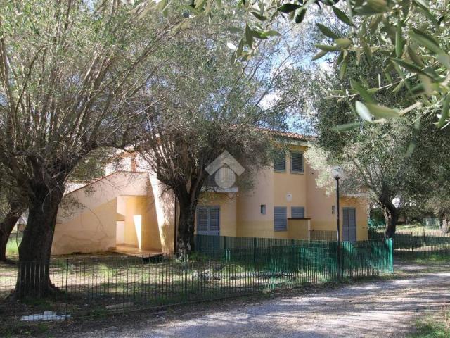 Villa Indipendente in vendita a Vibonati, Campania
