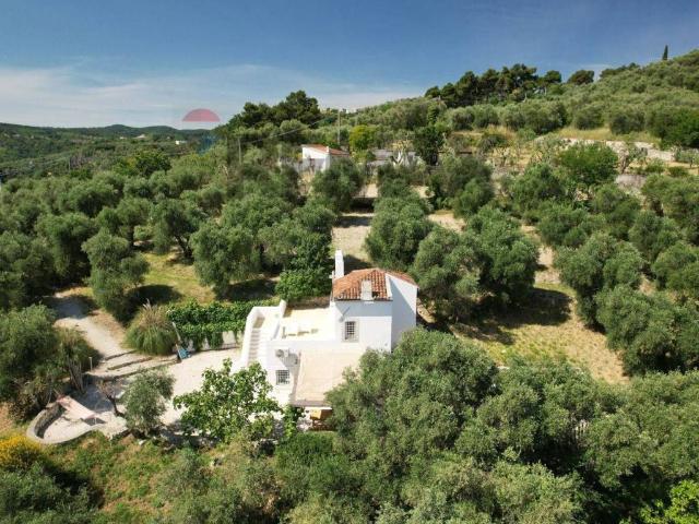 Villa Indipendente in vendita a Puglia, Foggia