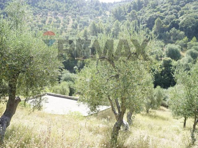 Villa Indipendente in vendita a Vieste, Foggia