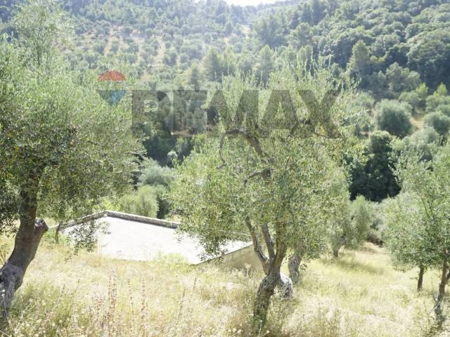Villa Indipendente in vendita a Puglia, Foggia