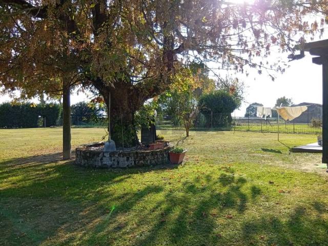 Villa Indipendente in vendita a Unione Alto Ferrarese, Vigarano Mainarda