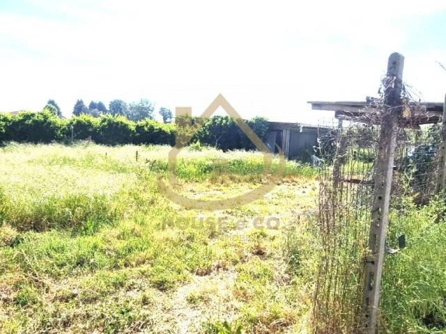 Villa Indipendente in vendita a Piccolini, Vigevano