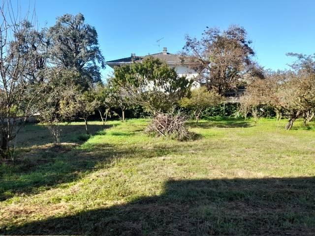 Villa Indipendente in vendita a Piccolini, Vigevano