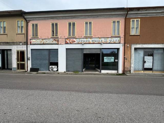 Villa Indipendente in vendita a Villamarzana, Veneto