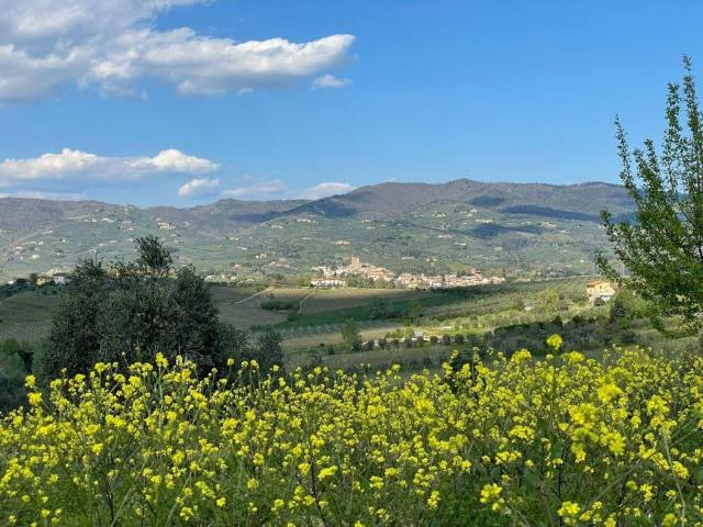 Villa Indipendente in vendita a Unione dei Comuni Circondario dell'Empolese Valdelsa, Vinci