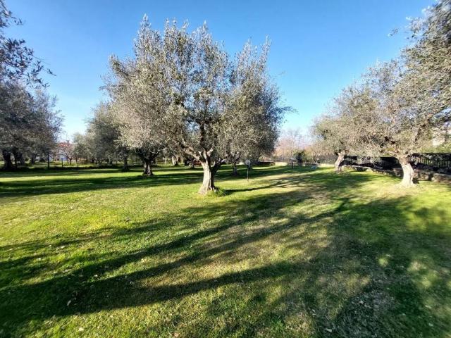 Villa Indipendente in vendita a Viterbo, Lazio