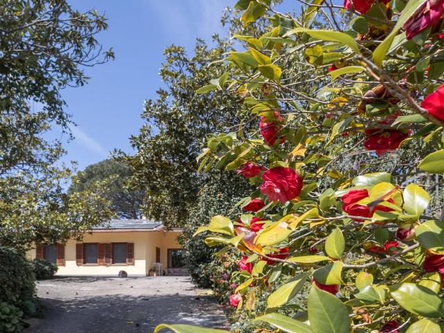 Villa Indipendente in vendita a Viterbo, Lazio