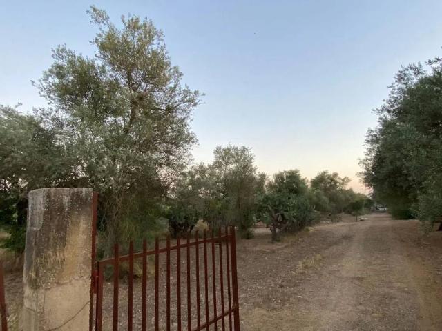 Villa Indipendente in vendita a Vittoria, Sicilia