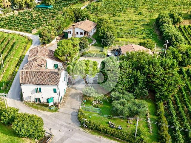 Villa Indipendente in vendita a Vo, Veneto