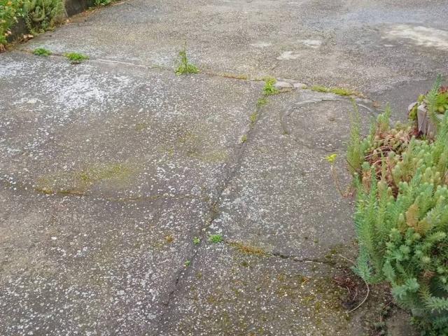 Villa Indipendente in vendita a Benvenuti, Voghera