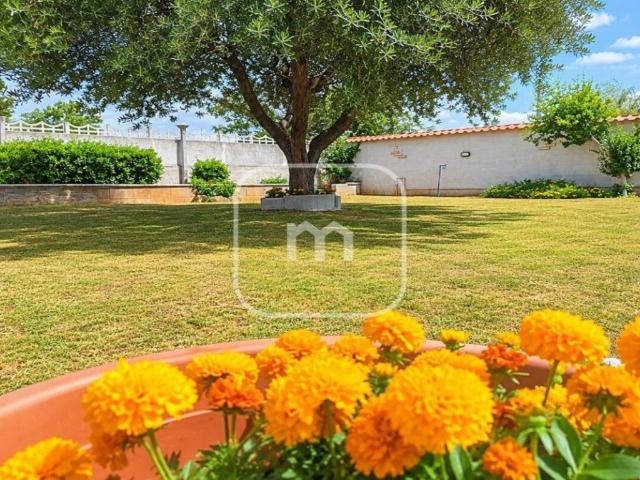Villa Indipendente in vendita a Roma Capitale, Lazio