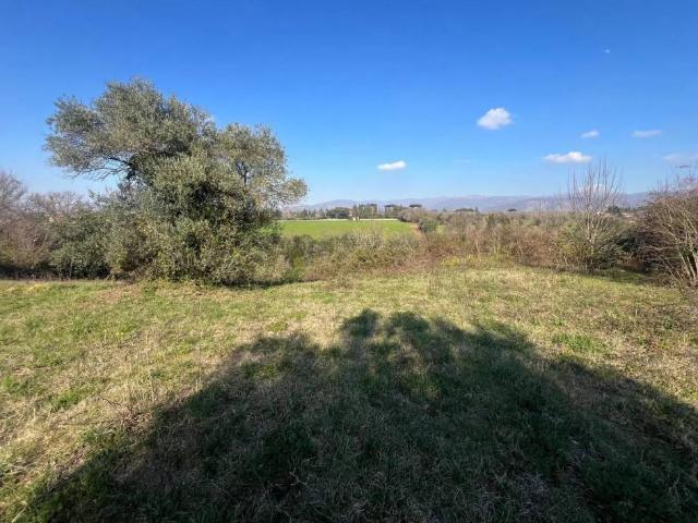 Villa Indipendente in vendita a Borgo San Martino, Roma Capitale