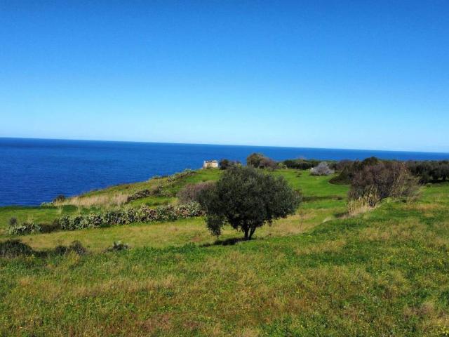 Villa Indipendente in vendita a Calabria, Vibo Valentia