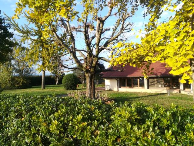 Villa Indipendente in vendita a Zevio, Veneto