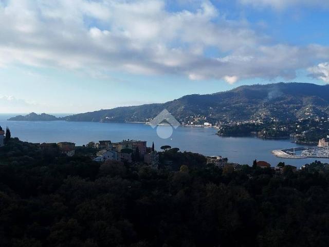 Villa Indipendente in vendita a Sant'Ambrogio, Zoagli