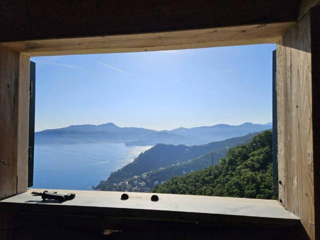 Villa Indipendente in vendita a Zoagli, Liguria