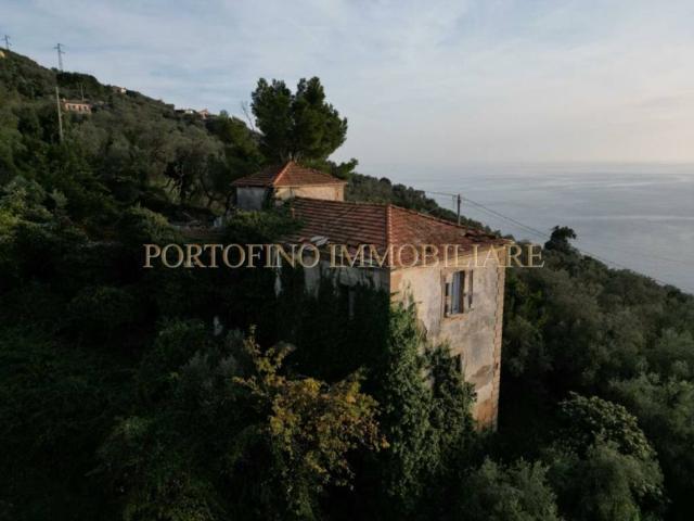 Villa Indipendente in vendita a Zoagli, Liguria