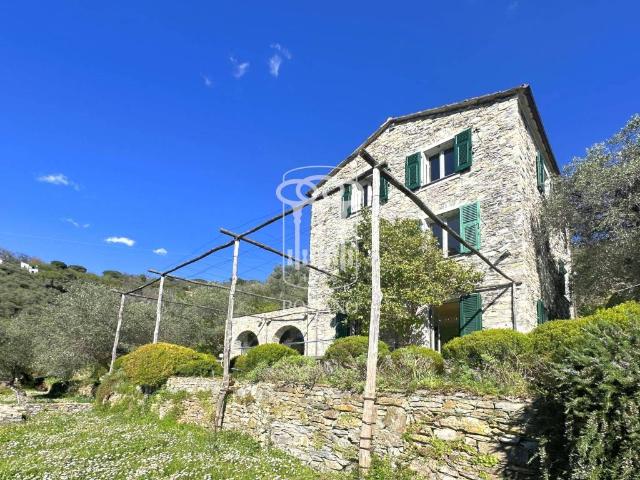 Villa Indipendente in vendita a Zoagli, Liguria