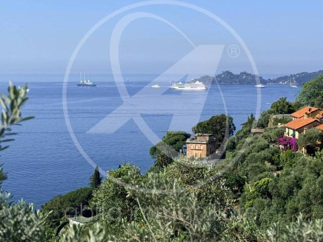 Villa Indipendente in vendita a Zoagli, Liguria