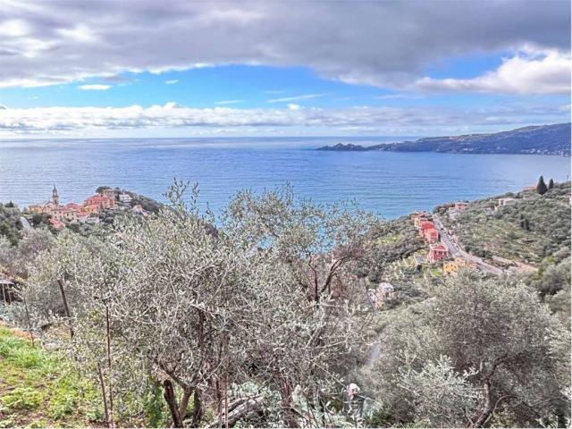Villa Indipendente in vendita a Zoagli, Liguria